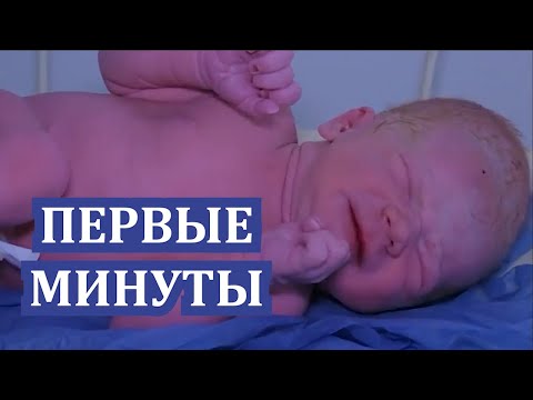 Видео: Первые Минуты После Рождения 👶   Первые минуты жизни