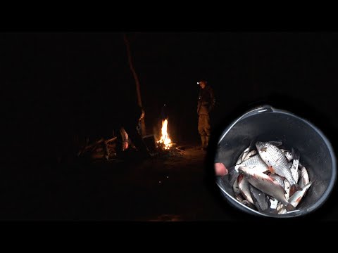 Видео: Щедрая Десна весной дарит нам поклёвки и плотву! Рыбалка с ночёвкой и костёрчик для души...