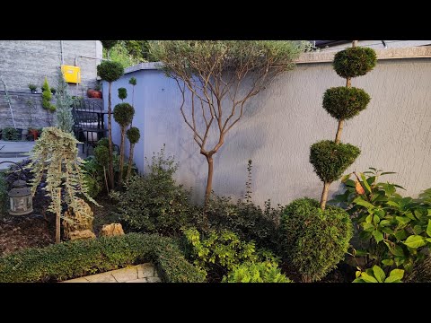Видео: Готовлю Сад к зиме! 🌲🥰