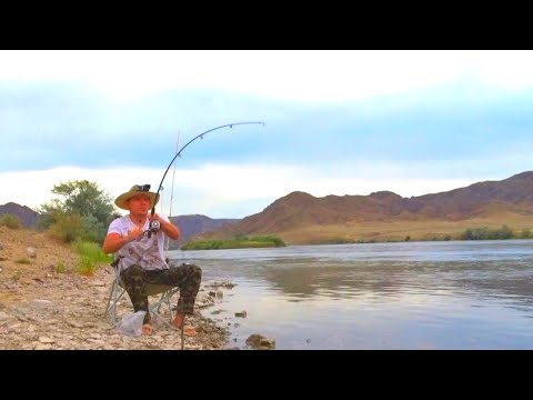 Видео: В ЭТИХ КРАСИВЫХ МЕСТАХ РЫБЫ СЛИШКОМ МНОГО! РЫБАЛКА В ОДИНОЧКУ.