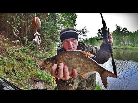 Видео: ЛЕЩ НА ДОНКУ И ПЕНОПЛАСТ/ЭТОТ МОНТАЖ БЕЗ РЫБЫ НЕ ОСТАВИТ ДАЖЕ В ЗАПРЕТ/РЫБАЛКА НА ЛЕСНОЙ РЕКЕ...