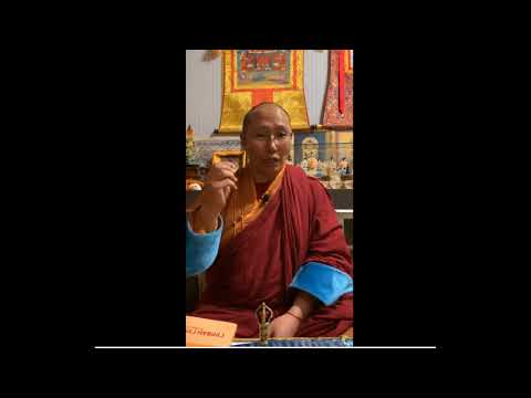 Видео: Билгийн зүрхэн судрын товч тайлбар