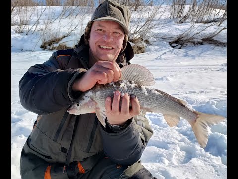 Видео: ХАРИУС. Апрельская рыбалка