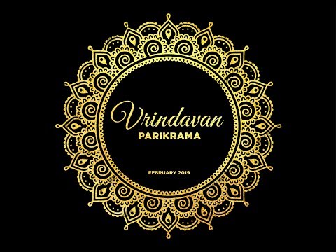 Видео: Vrindavan Parikrama Вриндаван Парикрама 2019 4K