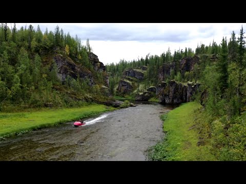 Видео: Любимая река и рыбалка!