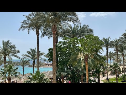 Видео: ZYA REGINA RESORT что Вас ждёт ………