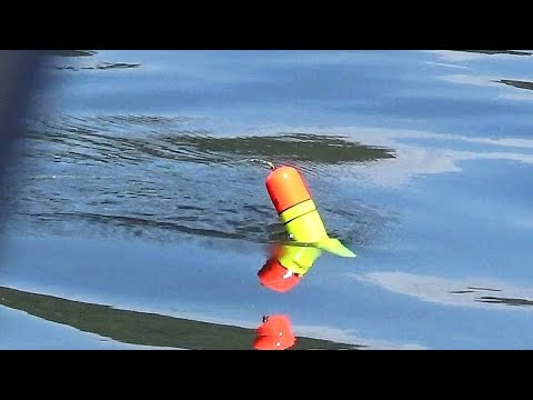 Видео: ВООУ-ВООУ! ХОРОШИЙ! СИБИРСКАЯ РЫБАЛКА С ЛОДКИ НА ХАРИУСА на покаток