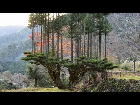 Видео: Удивительные Вещи, Которые Вы Не Видели. Часть 26