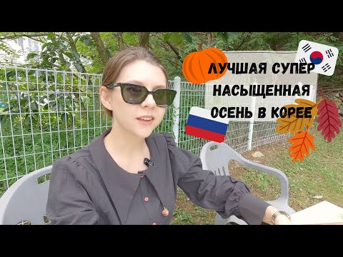 Видео: Моя лучшая осень в Корее! Катя и Кюдэ/Корея/Пусан