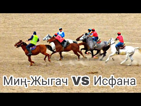 Видео: Лейлек районунун Көк бөрү чемпионаты Миң-Жыгач жана Исфана