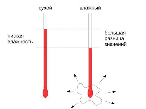 Видео: Как работает психрометр