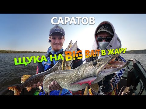 Видео: Щука на бигбейты в жару. Саратов 2021