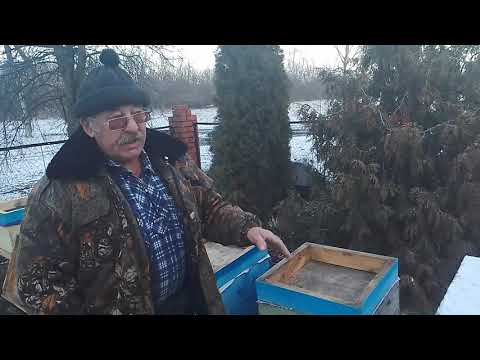 Видео: Зимовка пчёл без утепления 4 дня. Итог ответы.