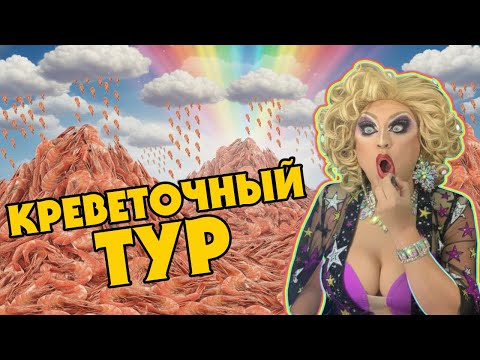 Видео: 🦐 Заза — владычица розовой креветки! Кто победит в битве за соус тартар?