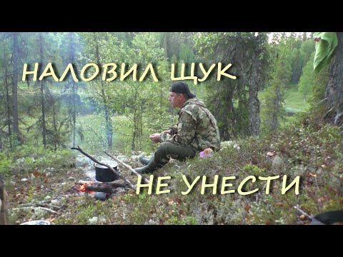 Видео: ЩУКА НА КАЖДЫЙ ЗАБРОС. НОЧЕВКА В ТАЙГЕ.