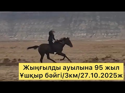 Видео: Жыңғылды ауылына 95 жыл/Ұшқыр бәйгі/3км/27.10.2025ж