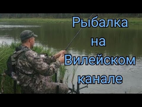 Видео: Фидерная ловля на Вилейском канале. Рыбалка на фидер. Рыбалка в Беларуси.