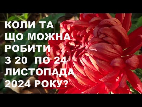 Видео: Коли та що можна зробити з 20 по 24 листопада 2024 року?