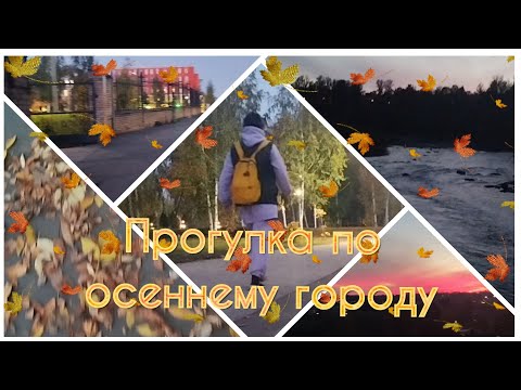 Видео: Прогулка по осенним Боровичам