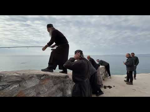 Видео: Рекордный улов