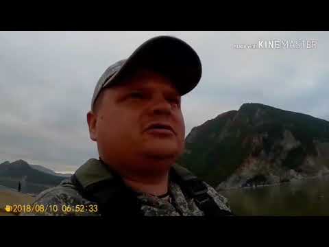 Видео: На разведку за симой