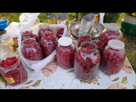 Видео: Сельский базар /Иртышск