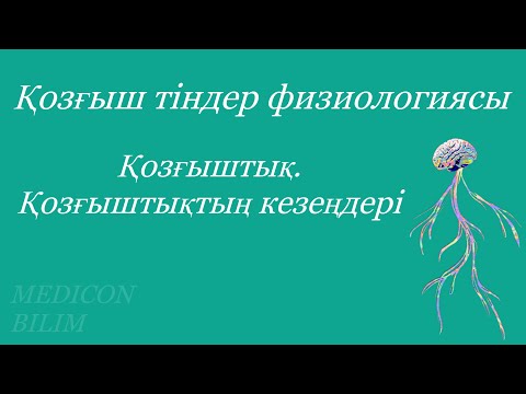 Видео: Қозу. Қозғыштық кезеңдері | Возбуждение. Фазы возбудимости | Толық курсқа тіркелу👇