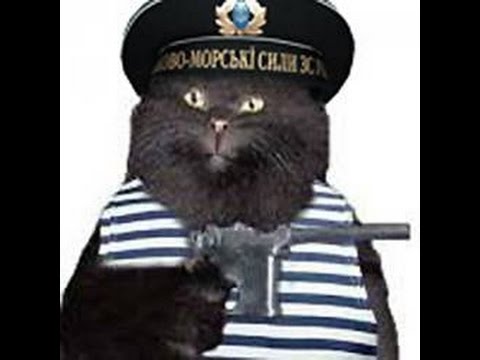 Видео: СТАЛКЕР. ОП-2. Вторая лёжка Фенрира в Лиманске.