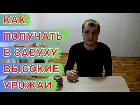 Видео: Как получить дополнительно до 200 мм влаги в засушливых условиях с помощью атмосферной ирригации