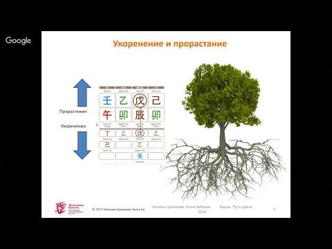 Видео: Как узнать секреты бацзы?