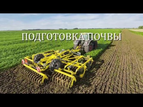 Видео: Томат в открытом грунте: характеристика культуры и технология выращивания