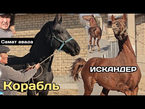 Видео: САМАТ аванын ИСКАНДЕР менен КОРАБЛЬИ