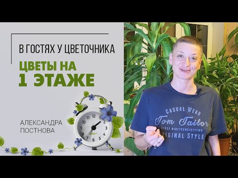 Видео: Навожу порядок на 1 этаже | Часть 1 | Пересадка растений