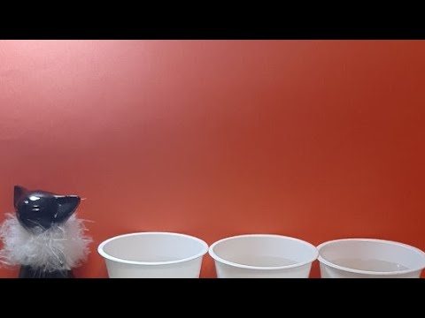 Видео: Послание Для Вас☝️