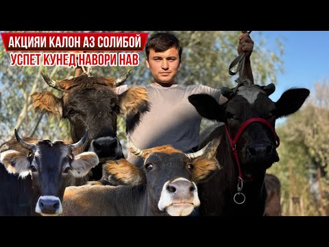 Видео: 5-САР МОЛХОИ АРЗОН АЗ СОЛИБОЙ 30 октября 2025 г.