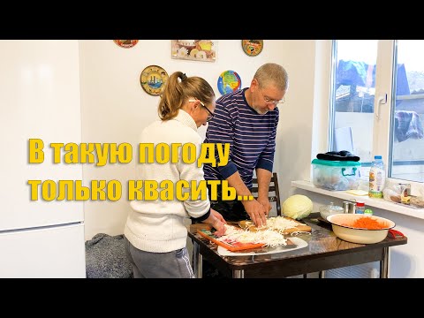 Видео: #57 Квашеная капуста по двум рецептам. Скоро будем переселять овец.