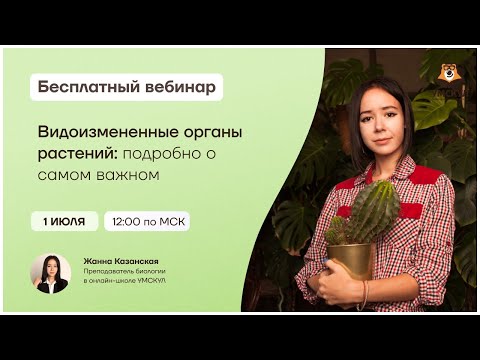 Видео: Видоизмененные органы растений | Биология ЕГЭ | Умскул