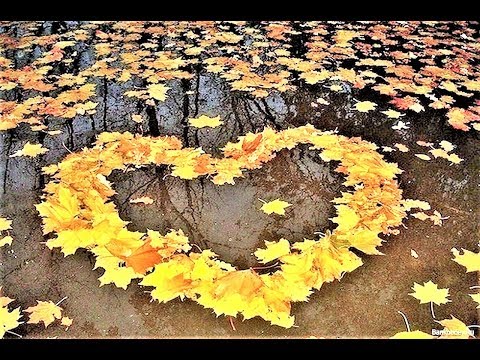 Видео: "Осень"  Валерий Капризов. Душевная песня