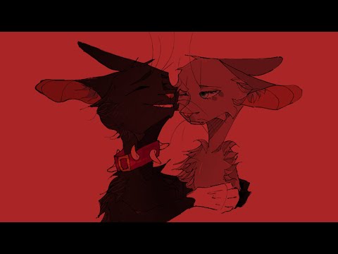 Видео: ТУПЫЕ ШИППЫ - КОТЫ-ВОИТЕЛИ
