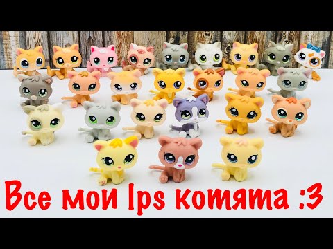 Видео: LPS: ВСЕ МОИ L•P•S КОТЯТА :3 (25 штук)