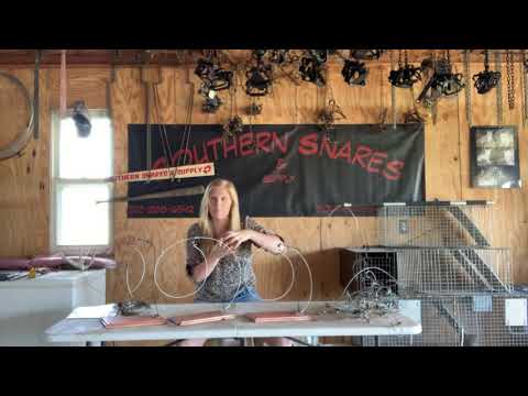 Видео: ИДЕАЛЬНОЕ тросовое удерживающее устройство для отлова койотов и рысей в Висконсине