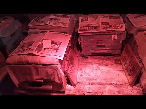 Видео: 1я часть..😉  Время давать сладенькое Канди Семьям..