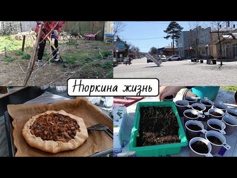 Видео: Эффективная работа на участке // Пересадка земляники // Вкуснейшая галета с картофелем и грибами