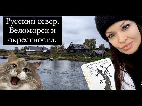 Видео: Едем с кошкой в Беломорск! Белое море, Беломорские петроглифы, Колежма и красота северной природы!