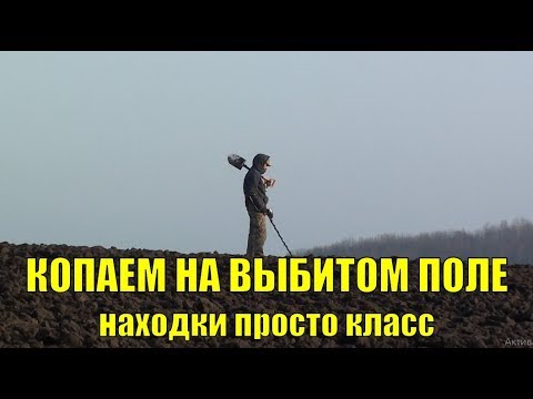 Видео: Копаем на выбитом поле. Интересные находки. В поисках золота UA!