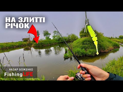 Видео: Ловля КАРАСЯ і Окуня На Спінінг - Річка Верещиця