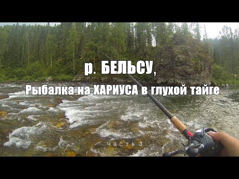 Видео: Ловя ХАРИУСа на труднодоступной реке Кузнецкого Алатау/река Бельсу, забрались в глухую тайгу.