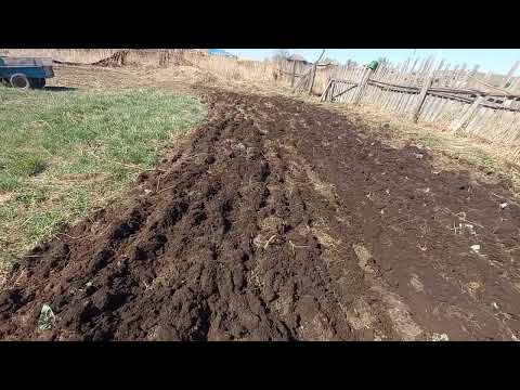 Видео: Разработка целины мотоблоком BRAIT 17 л.с. под посадку