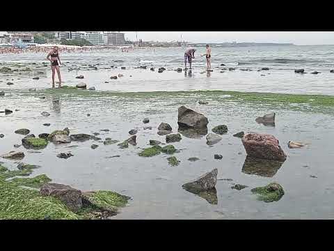 Видео: На правом пляже Черноморска.