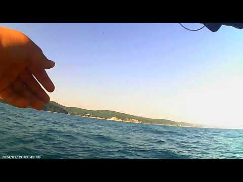 Видео: Морская рыбалка